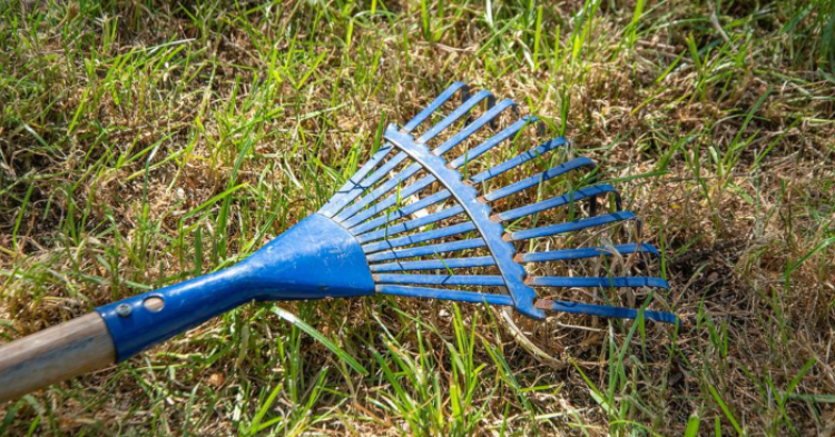 rake lying on slightly messy lawn