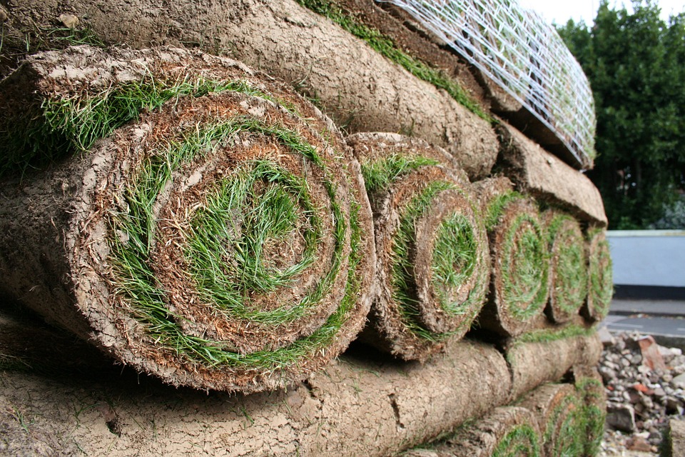 Turf ready to lay