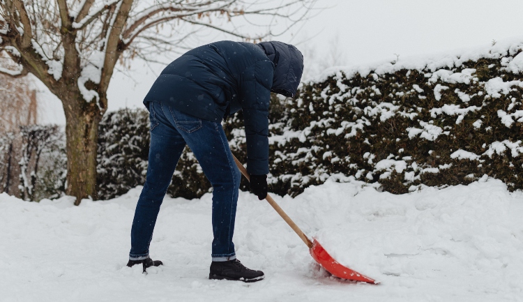 figure in coat shoveling snow in garden - how to remove snow from lawn