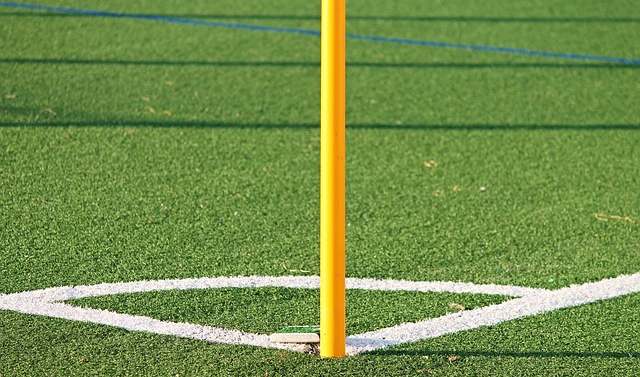 artificial sports turn with flag - is artificial grass going to be banned in wales?
