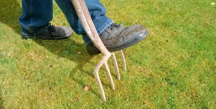 person manually aeration lawn with gardening pitchfork - what does lawn aeration do and how does it work?
