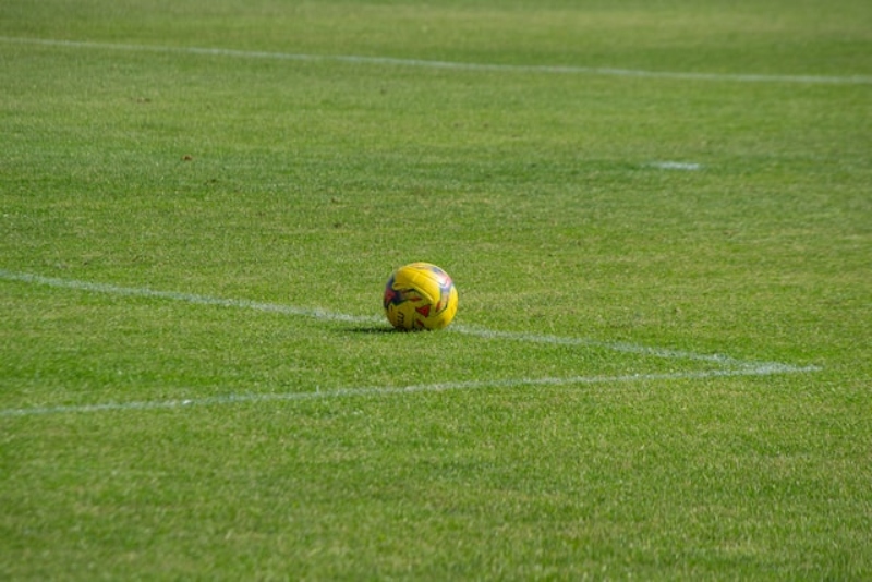football pitch grass