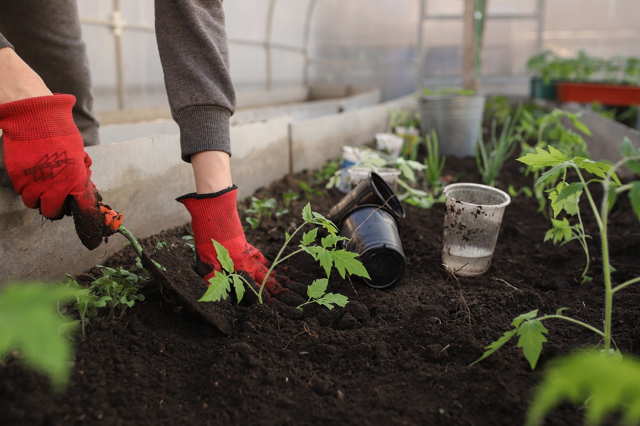 digging in garden - how your garden can improve your mental health