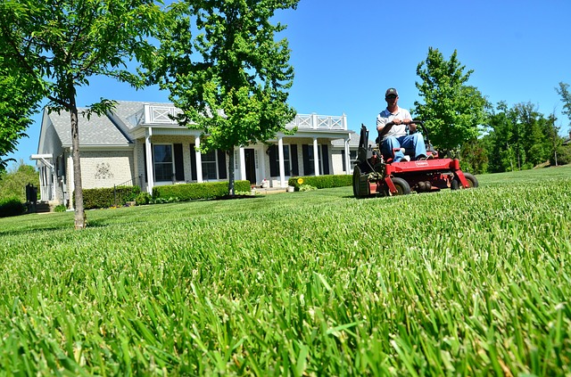 making a living from lawn care