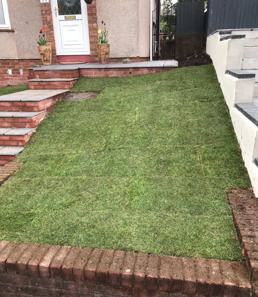 New lawn in Penylan, Cardiff