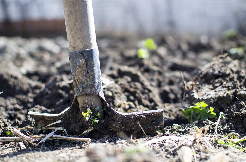 how to fix a bumpy lawn,how to fix an uneven lawn